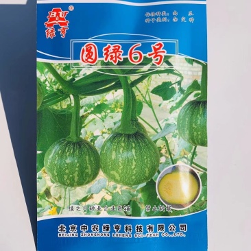 圆绿6号一串玲南瓜种子微黄心脆嫩微甜一串铃嫩南瓜种籽