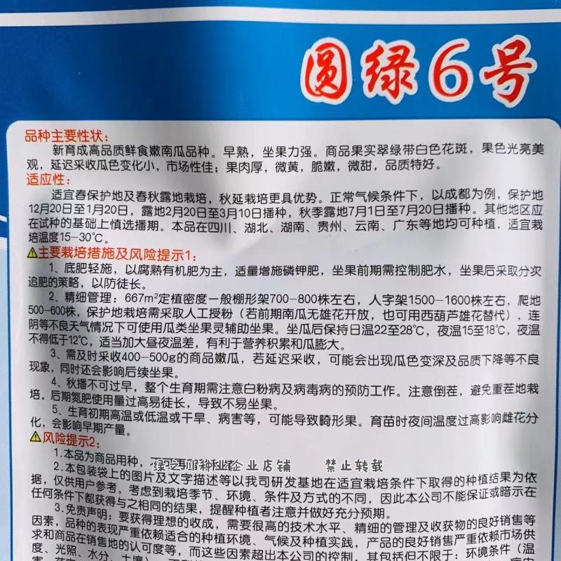 圆绿6号一串玲南瓜种子微黄心脆嫩微甜一串铃嫩南瓜种籽