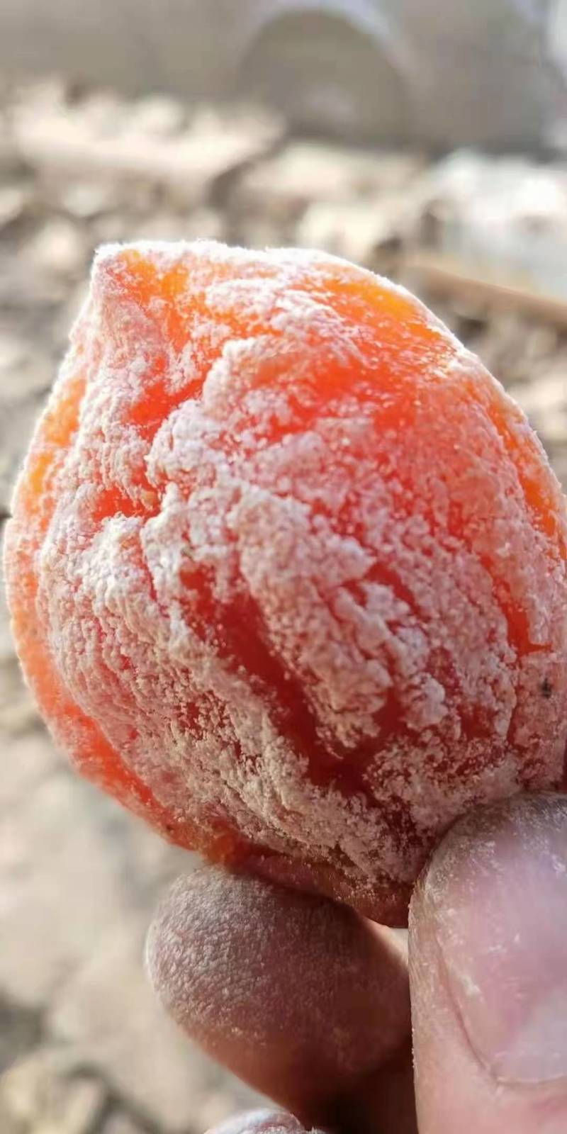 富平流心柿饼