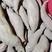 沙地哈密地瓜冰糖蜜薯电商社区落地配白心薯一件代发
