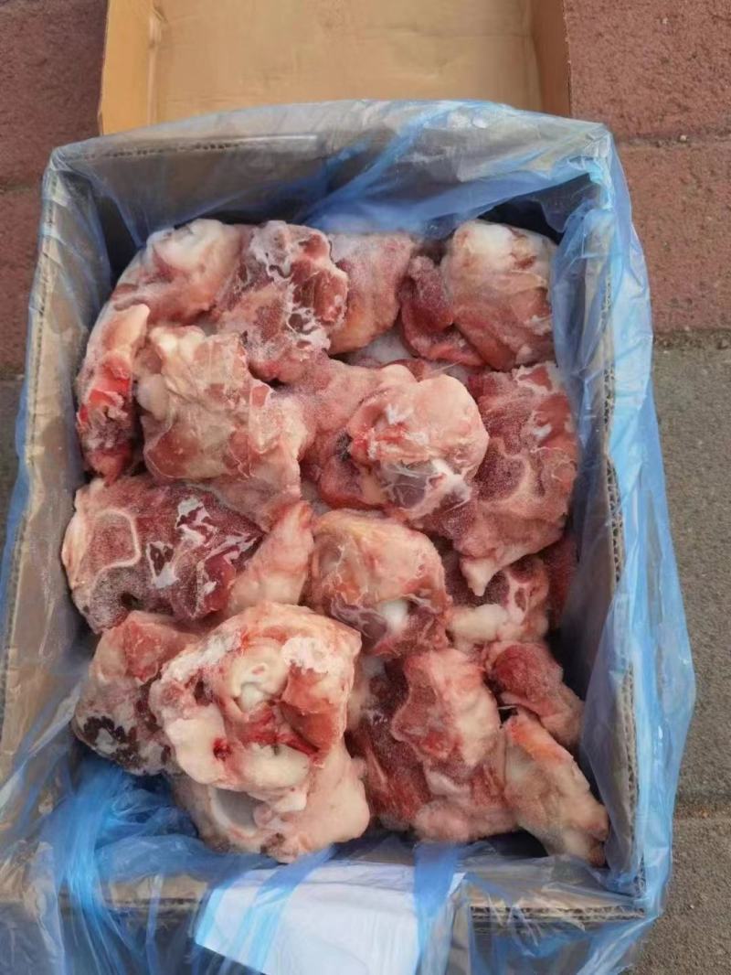 多肉肘骨块