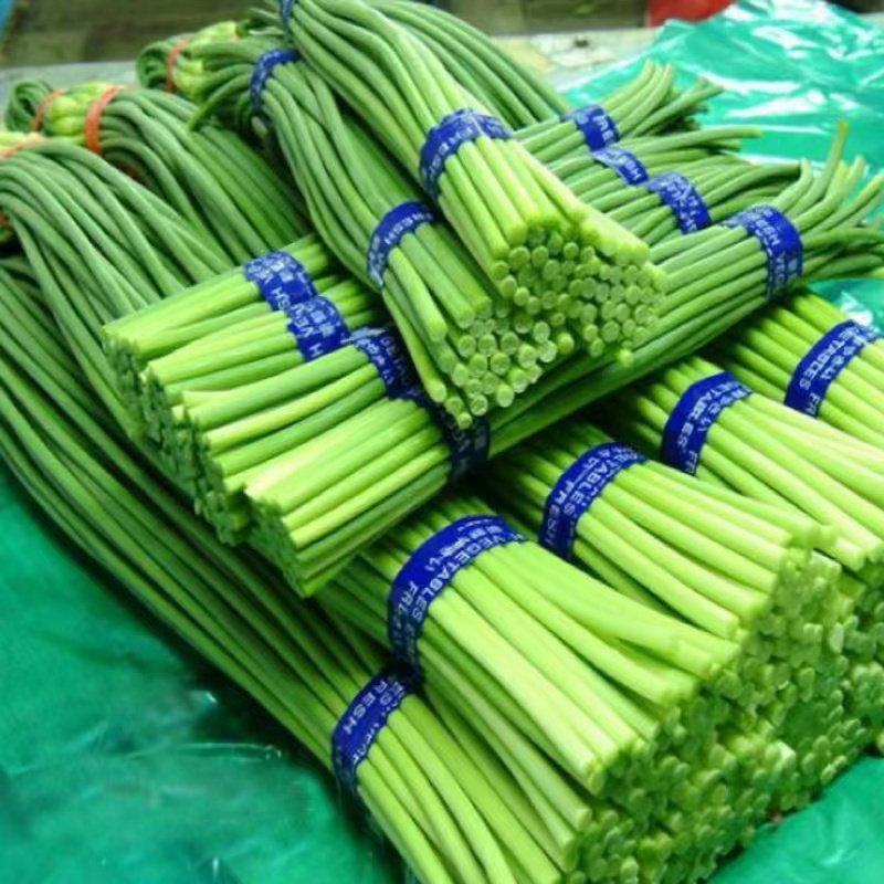 山东冷库蒜薹大量现货出库，货源充足，保质保量全国发货