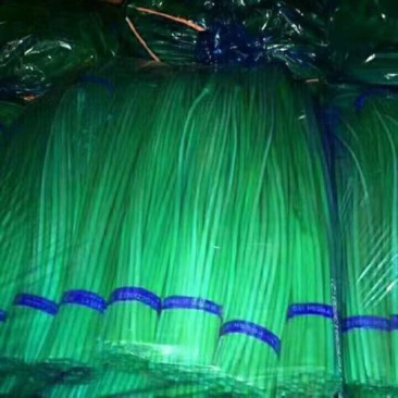 冷库蒜薹（红帽，白帽）货源充足，全国发货