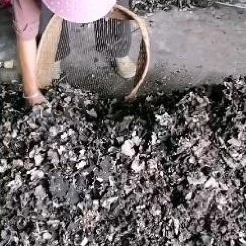 石耳，是长在云南高海拔深山老林，大岩石上。是绿色食品。