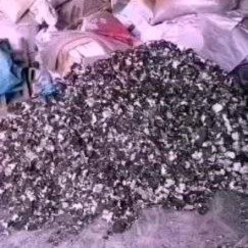 石耳，是长在云南高海拔深山老林，大岩石上。是绿色食品。