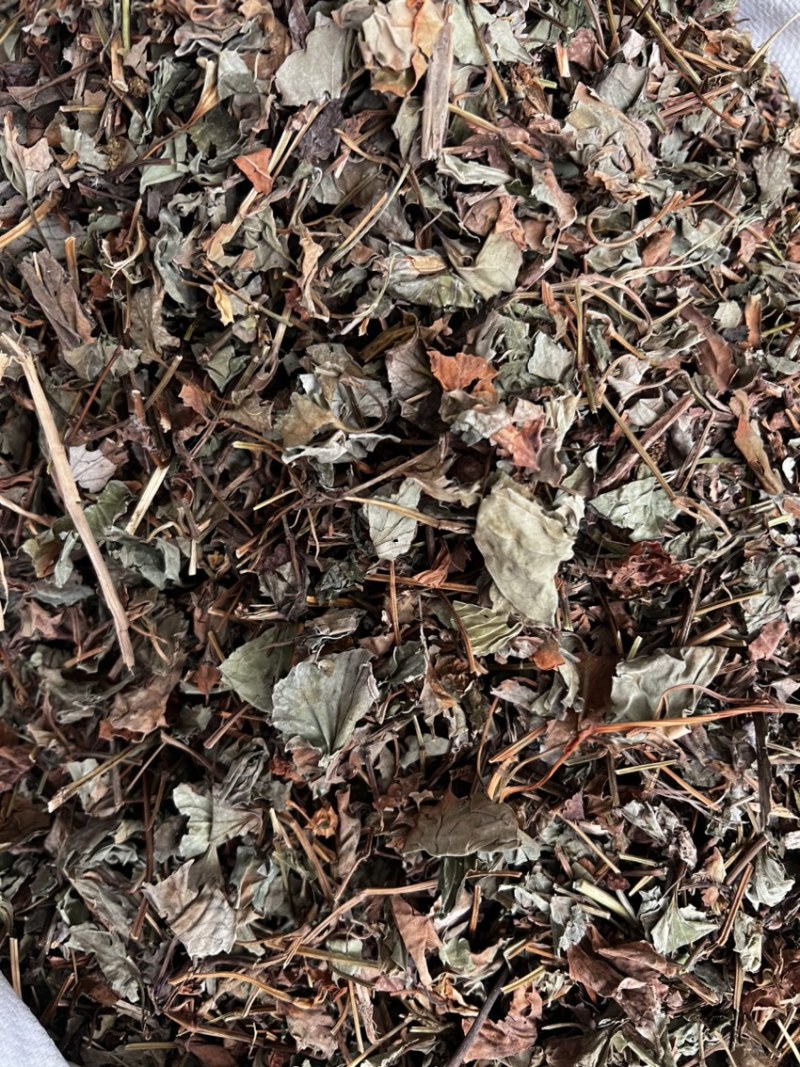 鱼腥草、折耳根！无硫磺熏天然植物中草药原草