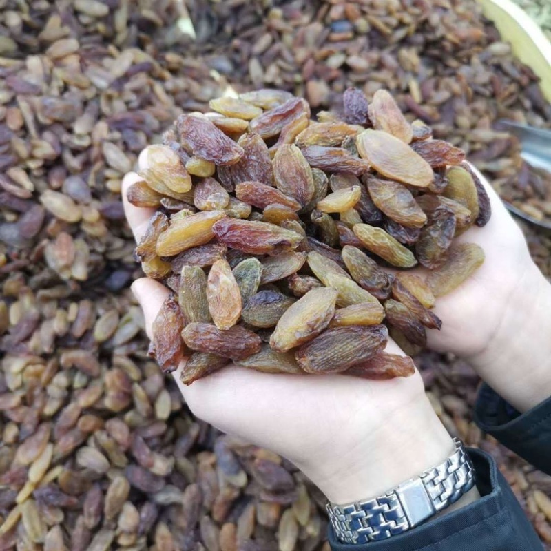 包邮大果葡萄干红葡萄干大量上市量大价优欢迎下单
