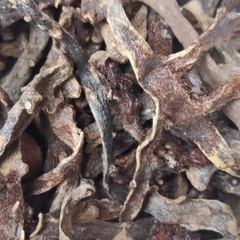 骨碎补，巴崖姜，猴姜，岩姜，纯野生，货足干