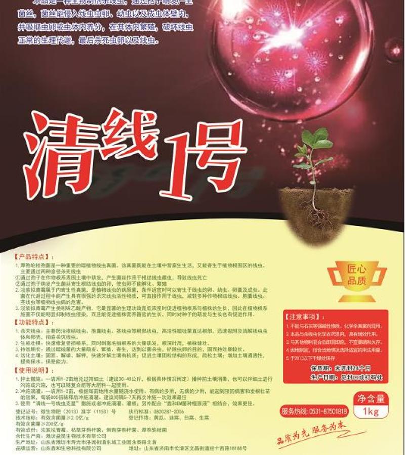 淡紫拟青霉+侧孢+厚孢轮枝菌药根结线虫根线虫虫卵双杀线虫
