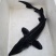 鲟鱼一手货源，山东潍坊看货，支持快递，全国配货