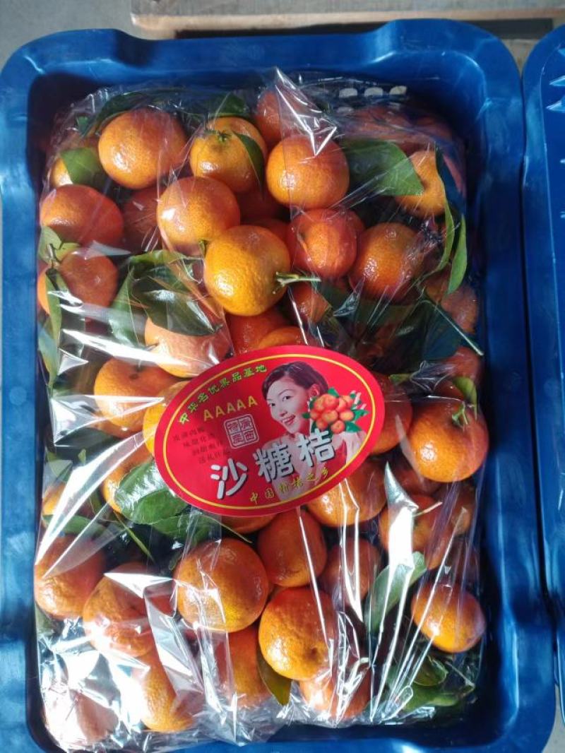 热销推荐精品砂糖橘口感超甜，皮薄汁多入口无渣，全国发货