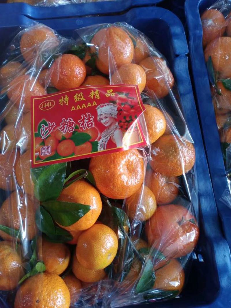 热销推荐精品砂糖橘口感超甜，皮薄汁多入口无渣，全国发货
