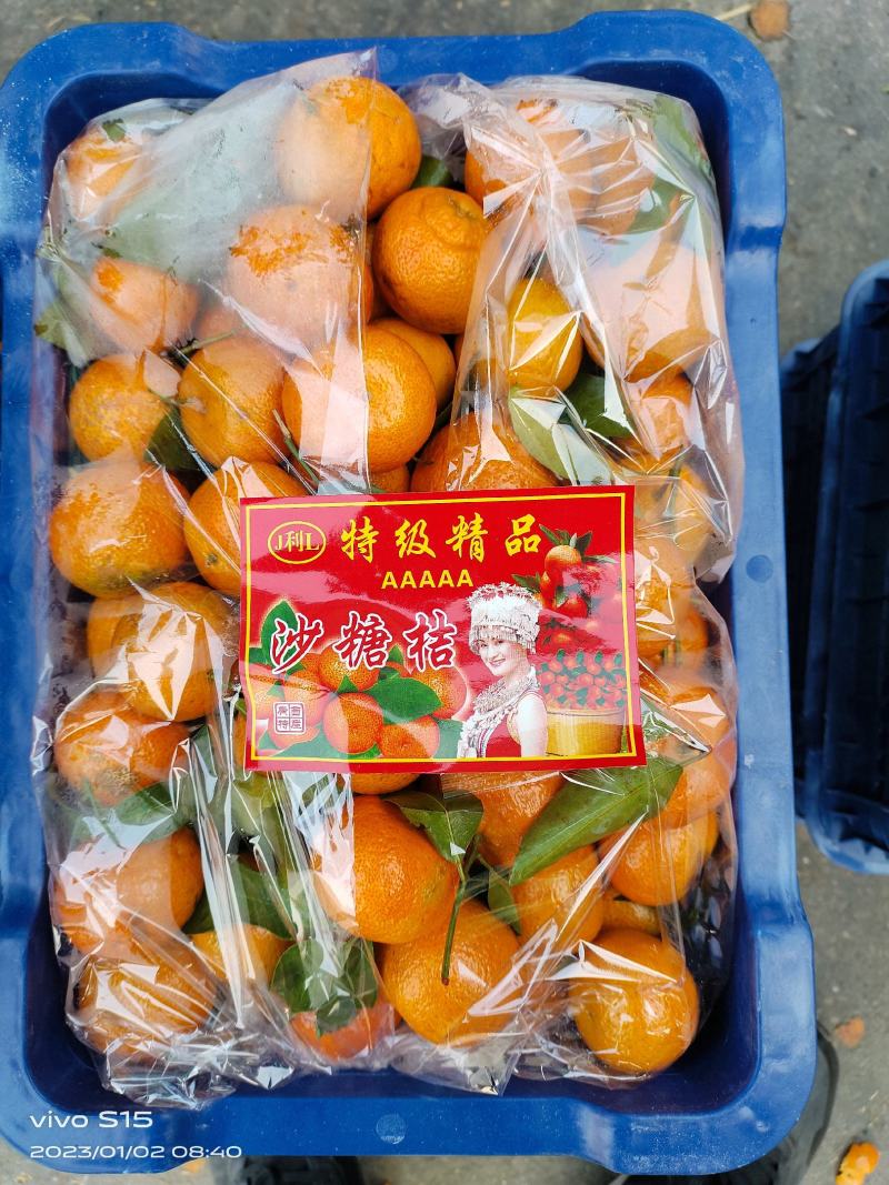 热销推荐精品砂糖橘口感超甜，皮薄汁多入口无渣，全国发货