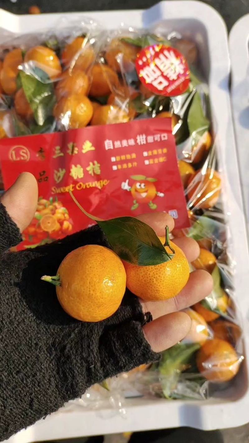 热销推荐精品砂糖橘口感超甜，皮薄汁多入口无渣，全国发货