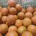 湖南纽荷尔脐橙，可对接团购，电商，批发，超商，大量供应