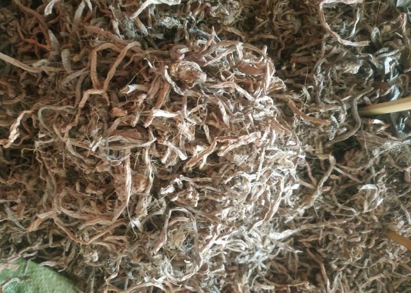 黄花菜根～1公斤起售～质量好，价格便宜，欢迎咨询采购
