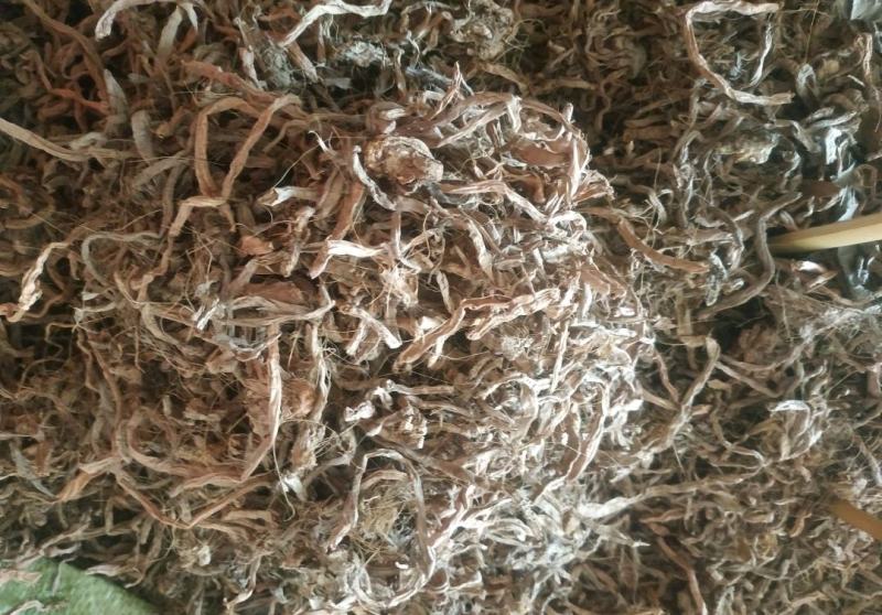 黄花菜根～1公斤起售～质量好，价格便宜，欢迎咨询采购