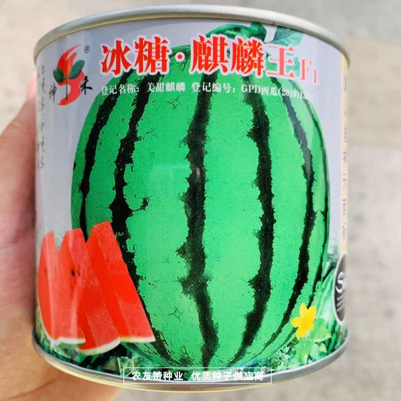 冰糖麒麟王西瓜种子早熟抗病高糖耐裂西瓜种籽皮薄耐旱耐湿