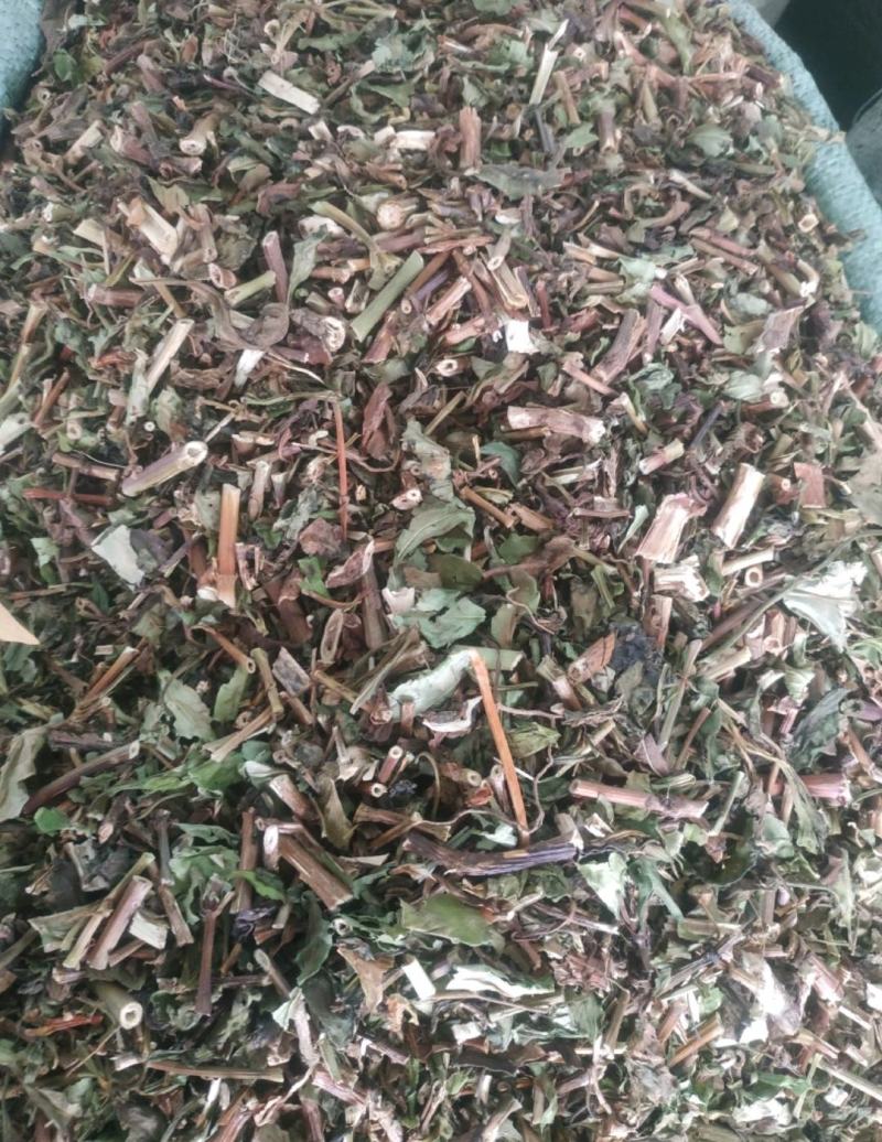败酱草～新货～包含量～量大优惠～欢迎咨询采购