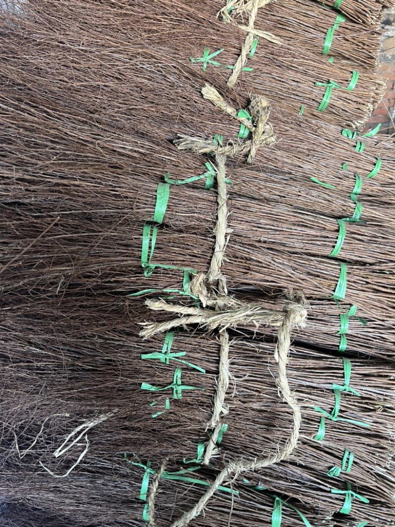 干支雪柳批发自己种的花质量好每年都在卖欢迎来电