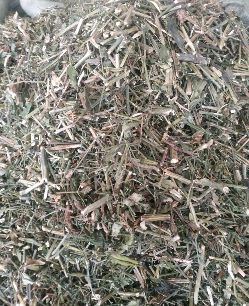 穿心莲～新货～1公斤起售～质量好价格便宜欢迎咨询