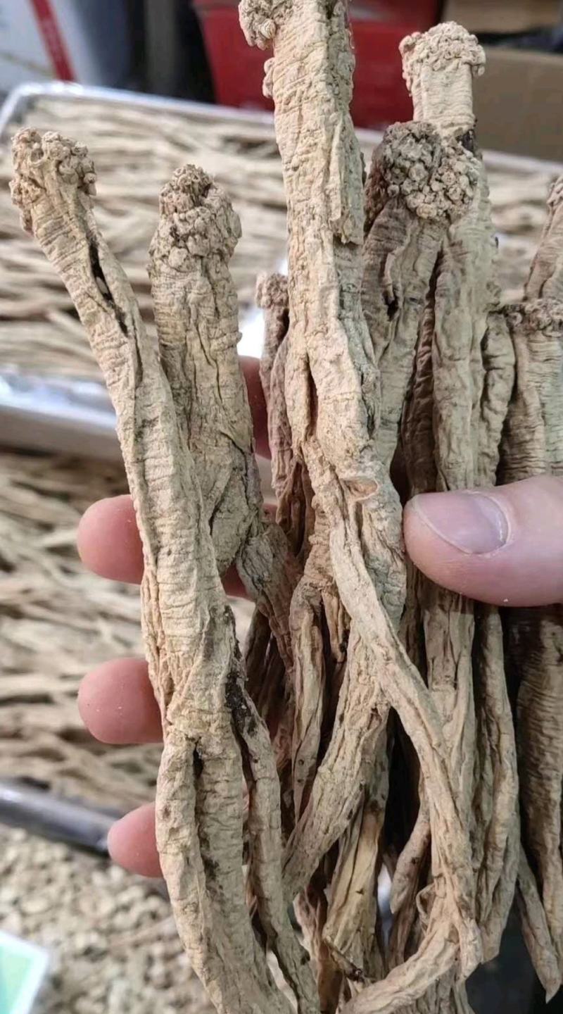 纹党参～1斤起售～质量保证～欢迎咨询采购