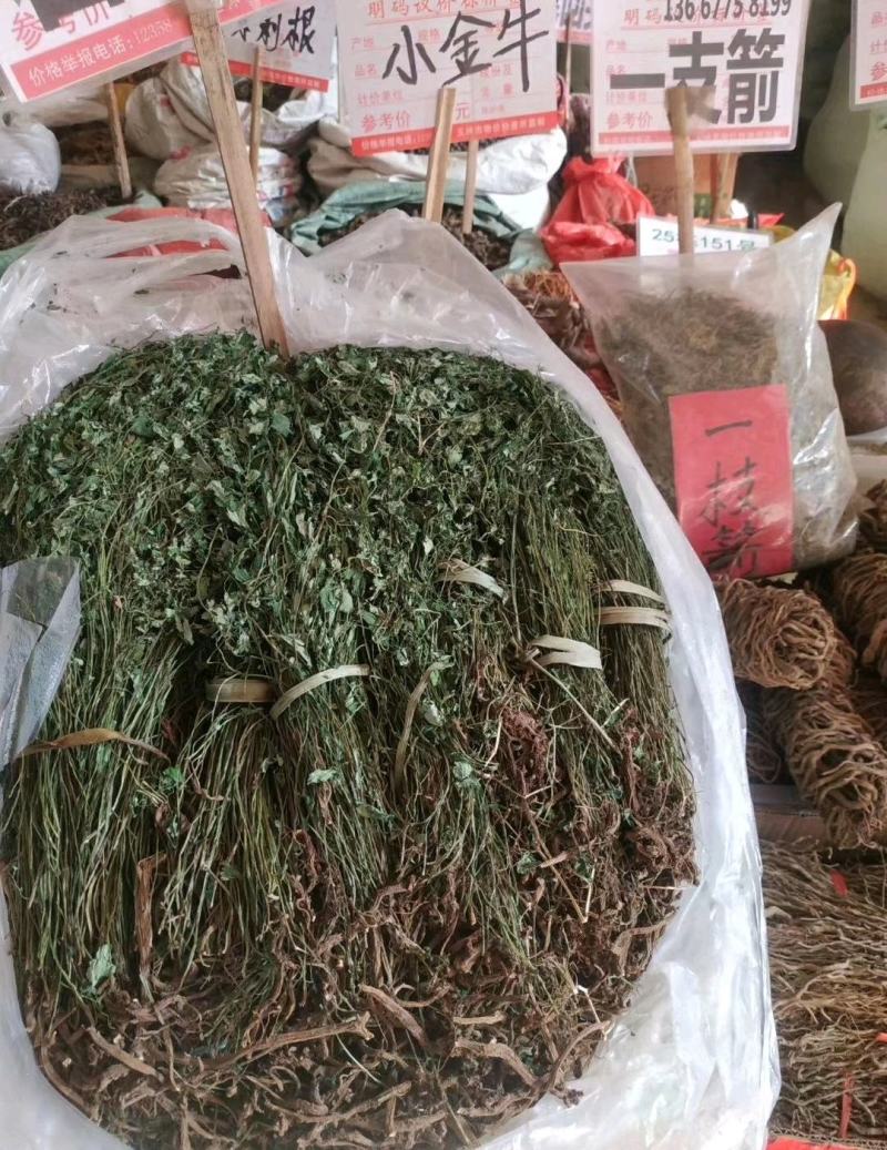 岩黄莲～新货～1斤起售～质量好价格便宜欢迎咨询采购