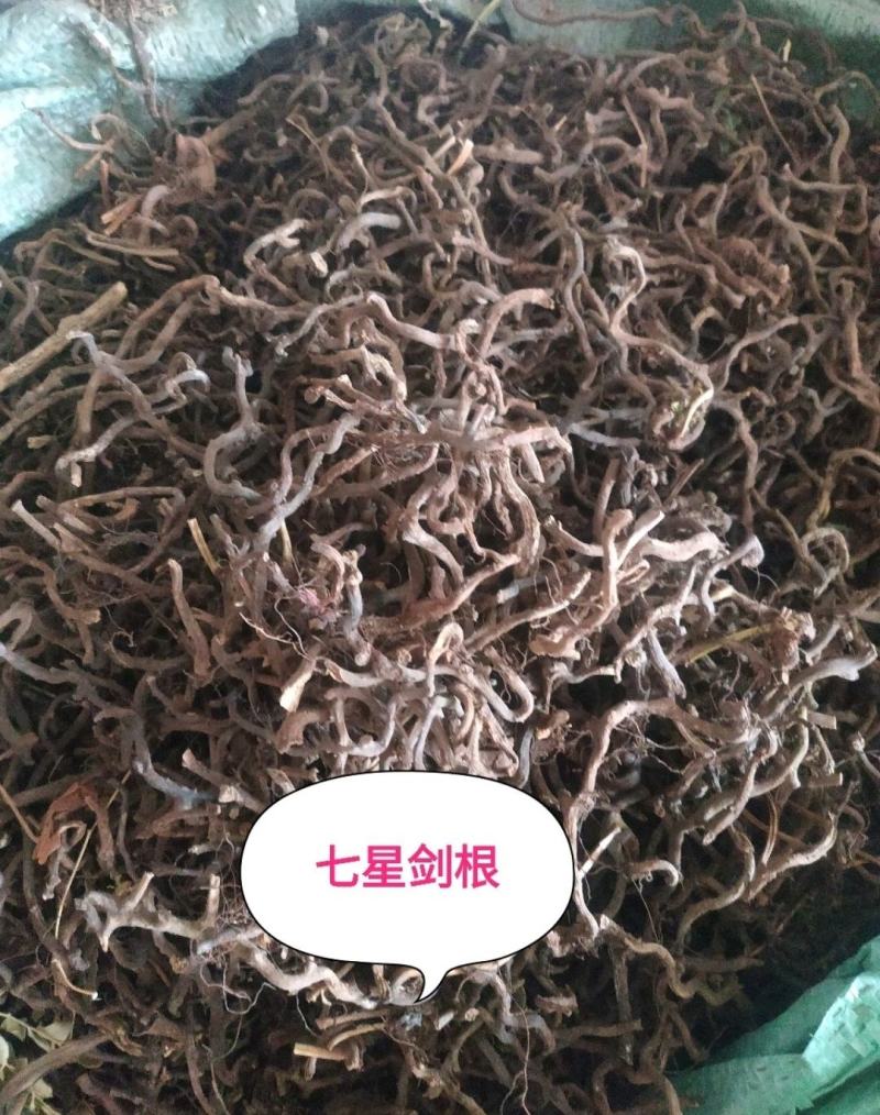 七星剑～根～10公斤包邮～质量好价格优惠欢迎咨询