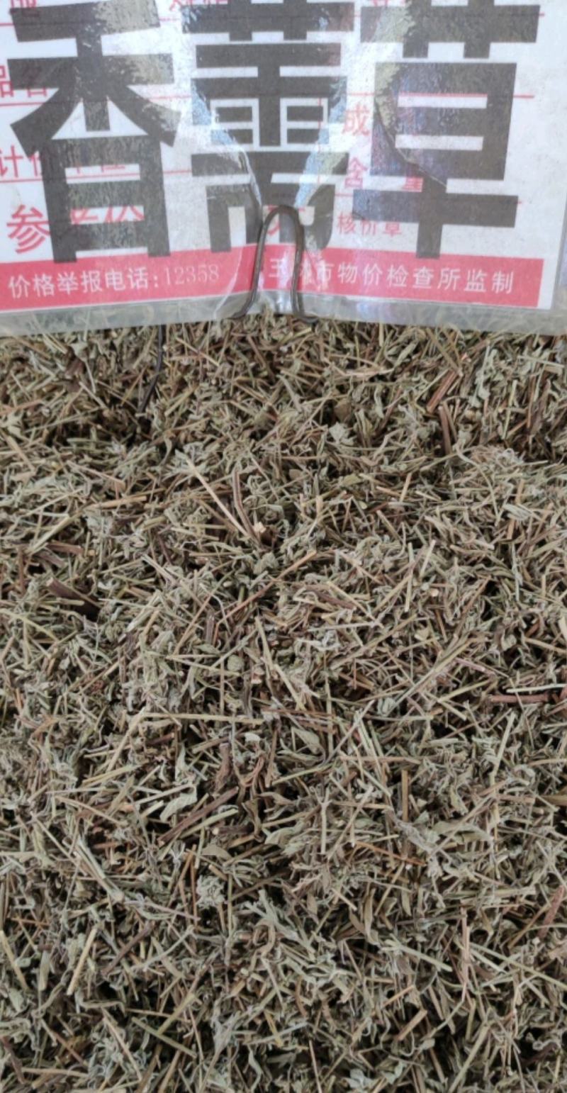 香薷草～新货~涨价中～量大优惠~一公斤起售~