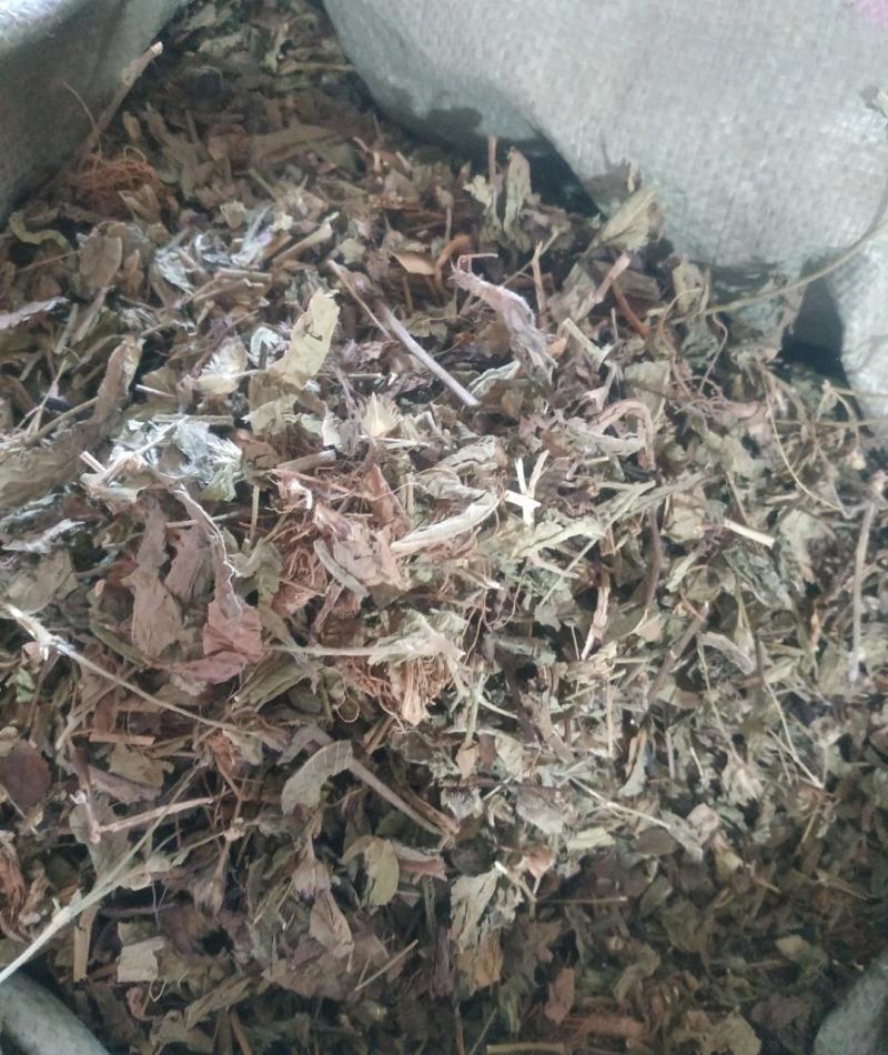 广西中药材地胆头草质量好价格便宜欢迎咨询采购