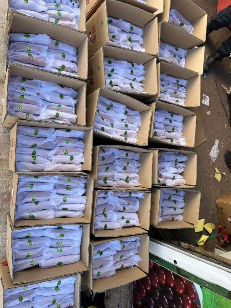 【红薯】济薯26大量供应，商超品质，可视频看货，欢迎来电