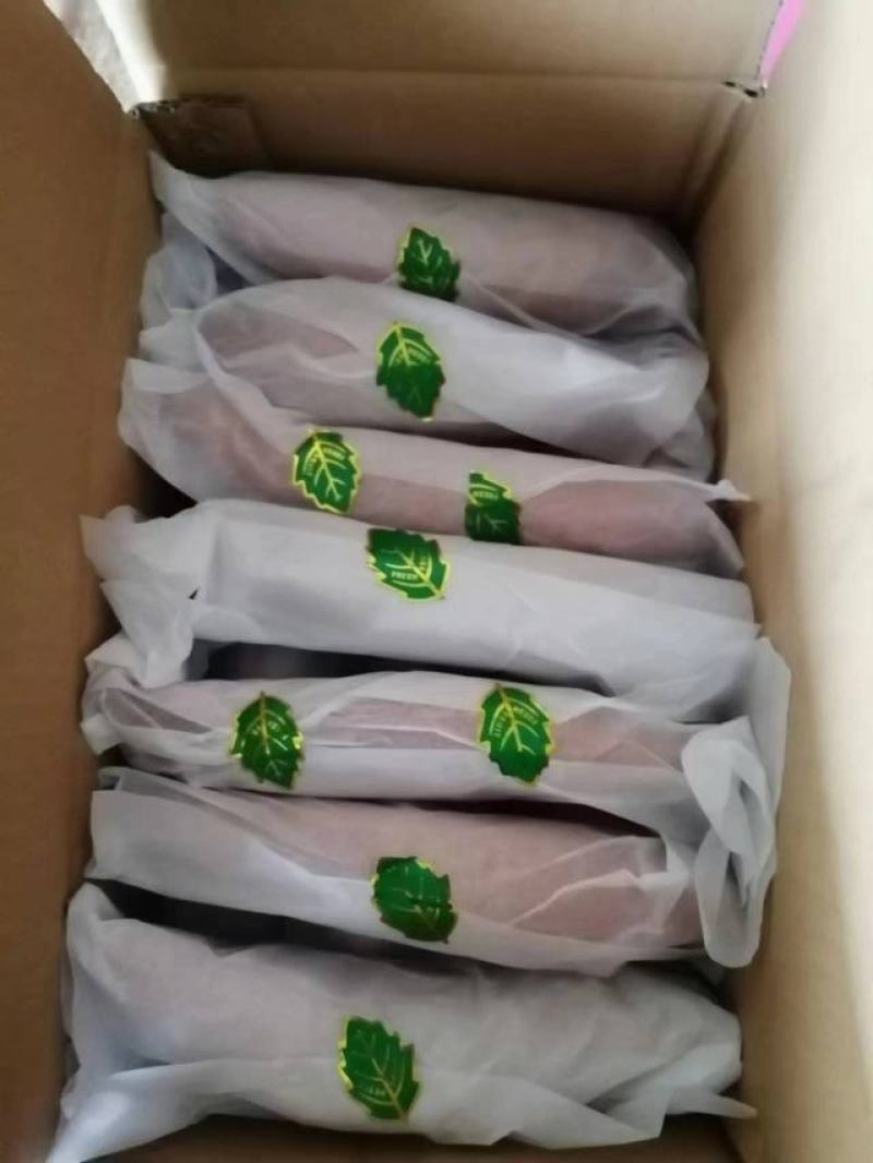 【红薯】济薯26大量供应，商超品质，可视频看货，欢迎来电