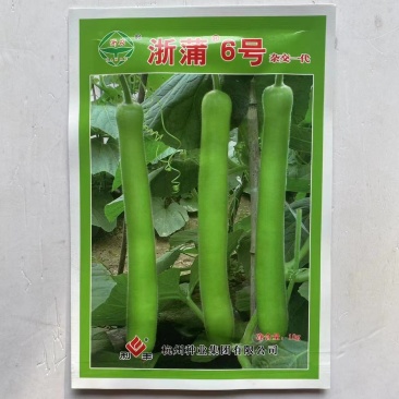 春秋播种早熟耐低温瓠瓜种子浙蒲2号/浙蒲6号产量高