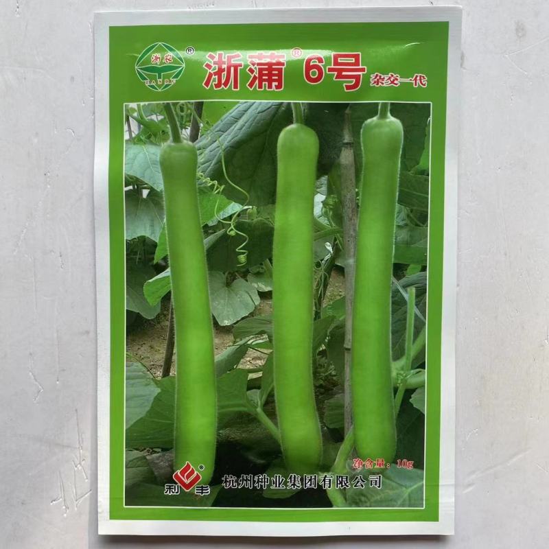 春秋播种早熟耐低温瓠瓜种子浙蒲2号/浙蒲6号产量高