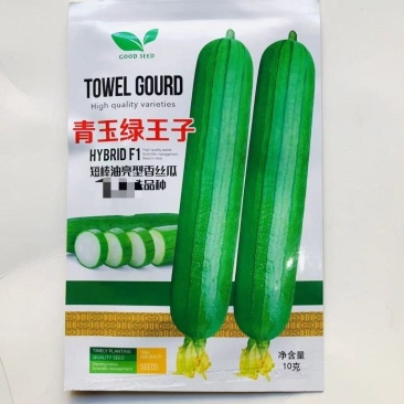 青玉绿王子丝瓜种子油亮短棒型肉丝瓜种高产耐寒抗病大田用种