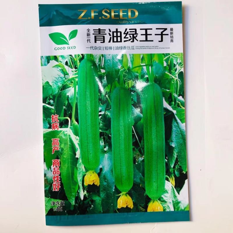 青玉绿王子丝瓜种子油亮短棒型肉丝瓜种高产耐寒抗病大田用种