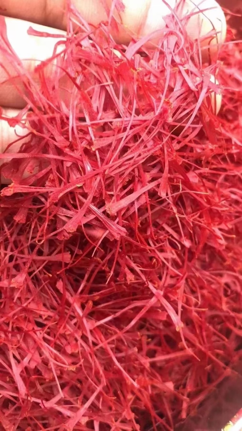 西藏西红花~产地直发~一手货源，头茬藏红花