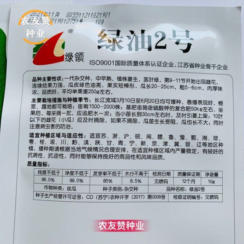 青玉绿王子丝瓜种子油亮短棒型肉丝瓜种高产耐寒抗病大田用种