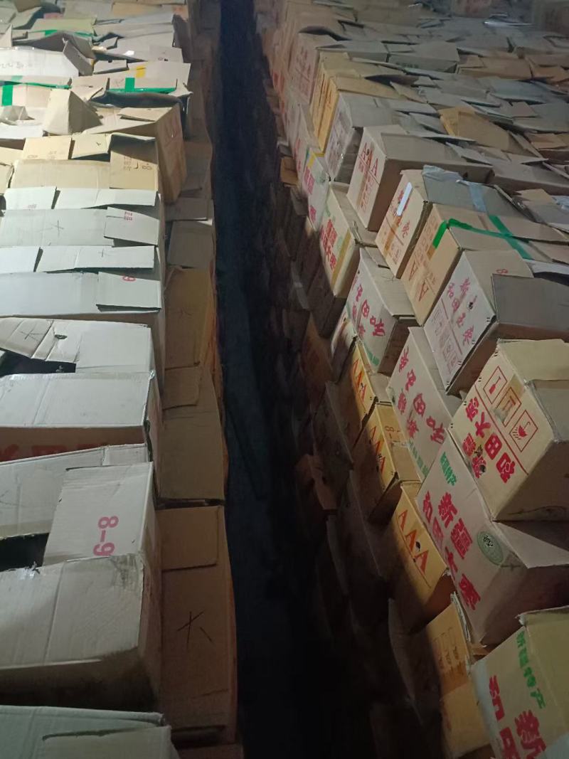 库存200万斤，按级分拣