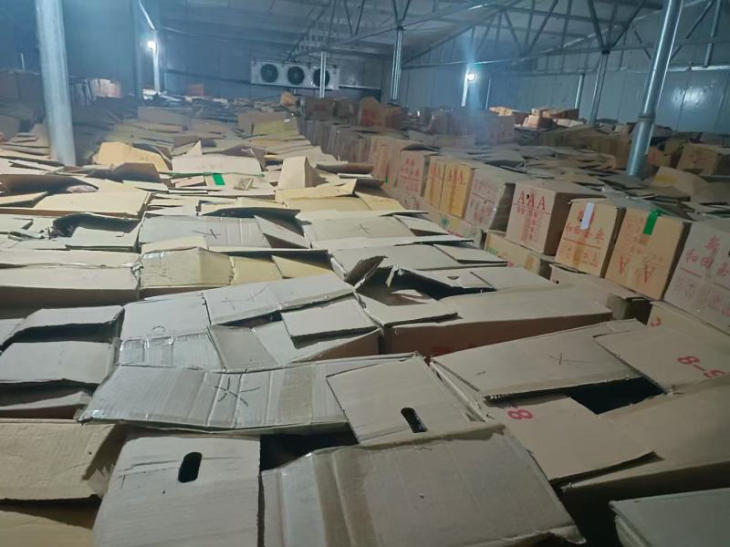 库存200万斤，按级分拣