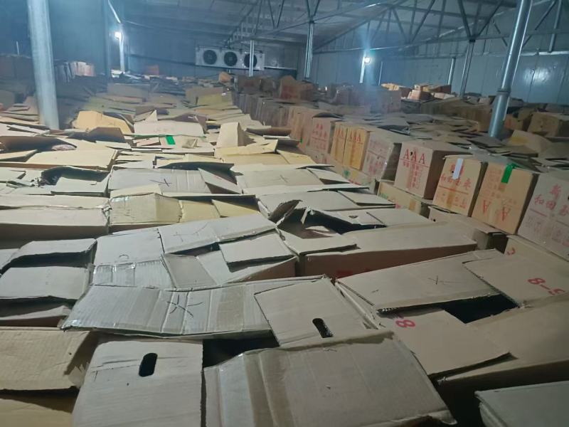 库存200万斤，按级分拣