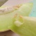江苏东台玉菇甜瓜，基地一手货源保质保量全国发