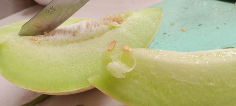 江苏东台玉菇甜瓜，基地一手货源保质保量全国发
