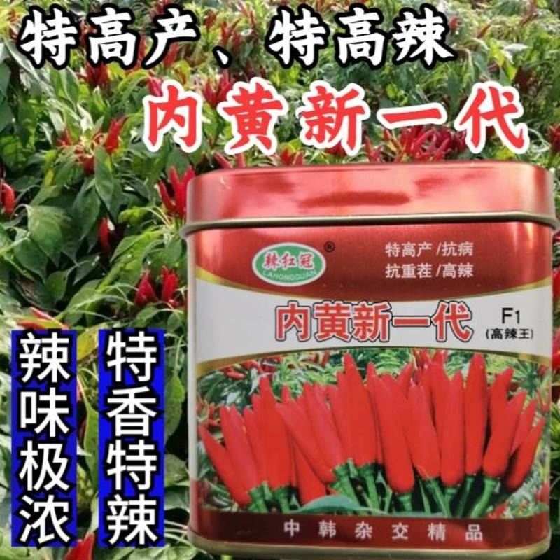 内黄新一代朝天椒种子超辣高辣超辣高产抗病朝天椒辣椒种子
