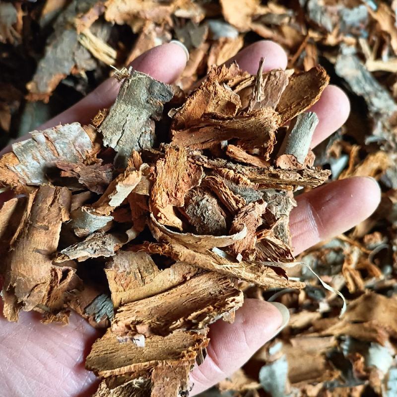 【推荐】桃树皮干货包邮上等基地直供欢迎下单