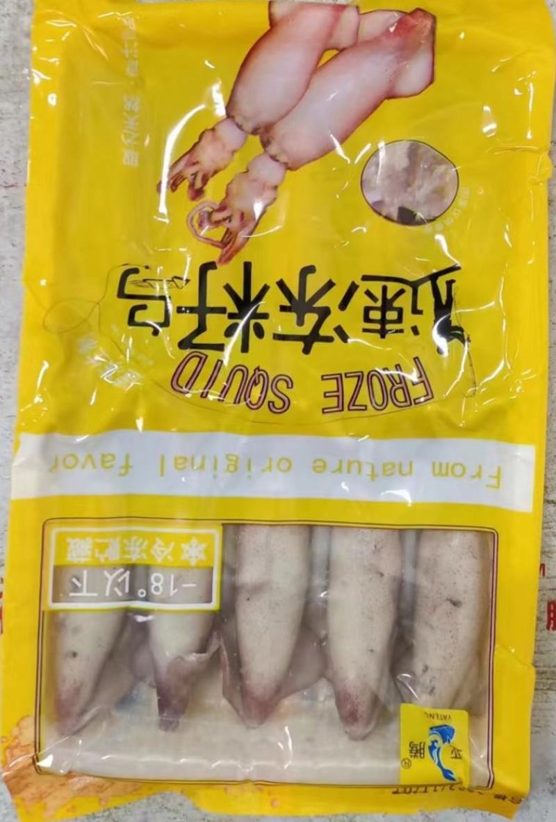 鱿鱼笔管鱼全籽籽乌海兔