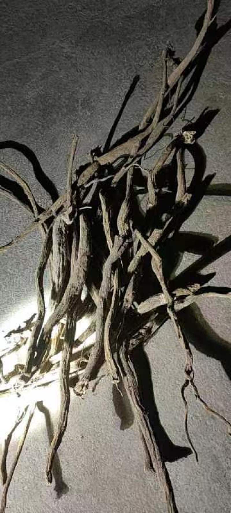 有大货产地直发
