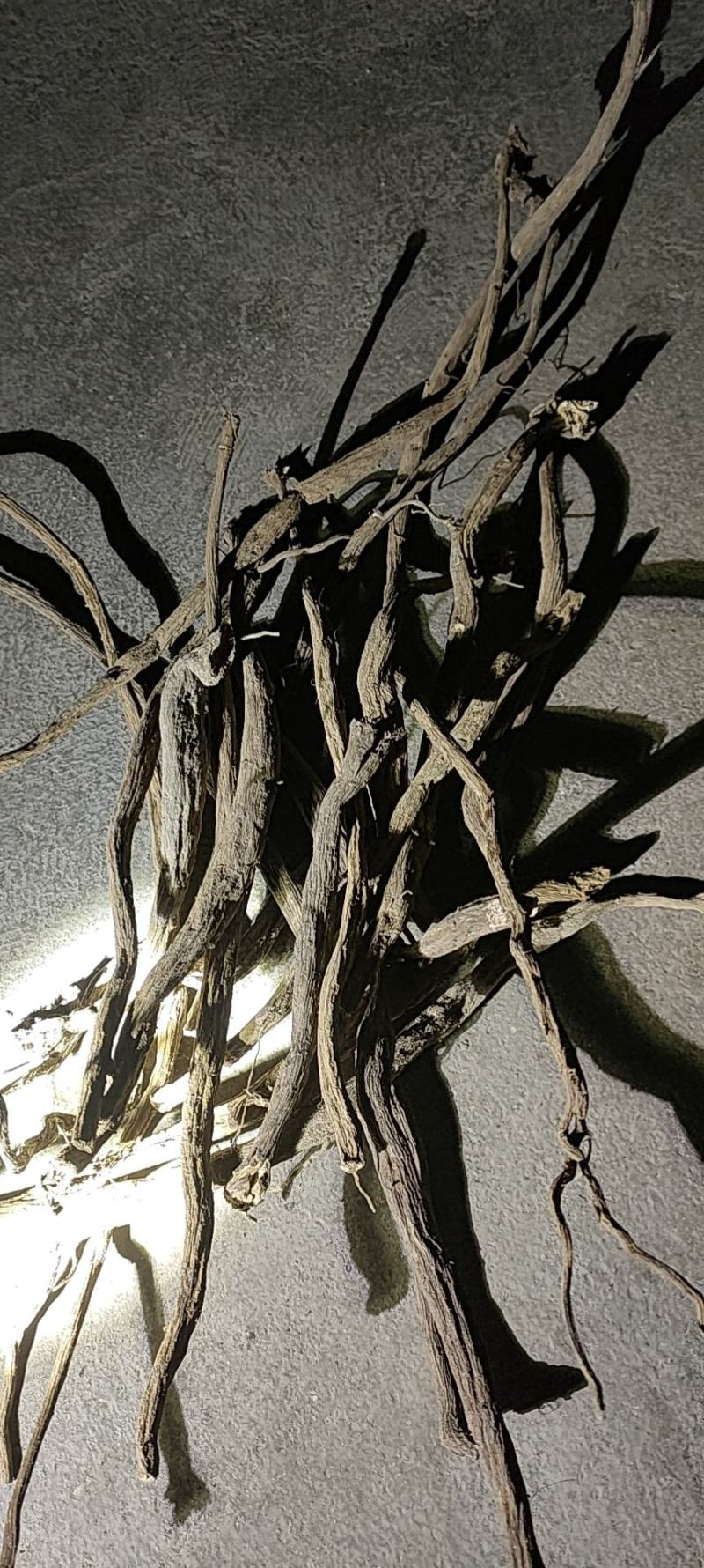 有大货产地直发