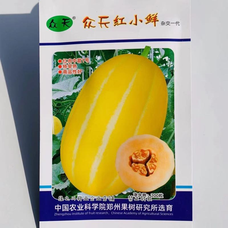 红肉中甜一号甜瓜种子特早熟厚皮甜瓜种子特甜黄皮香瓜种子
