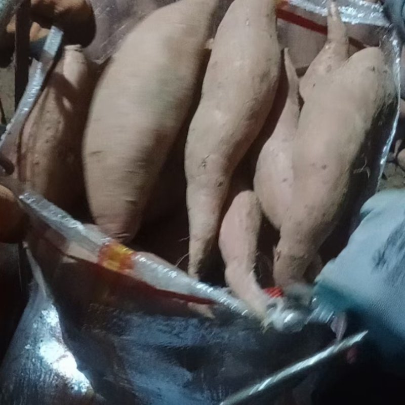 龙九红薯精品电商货